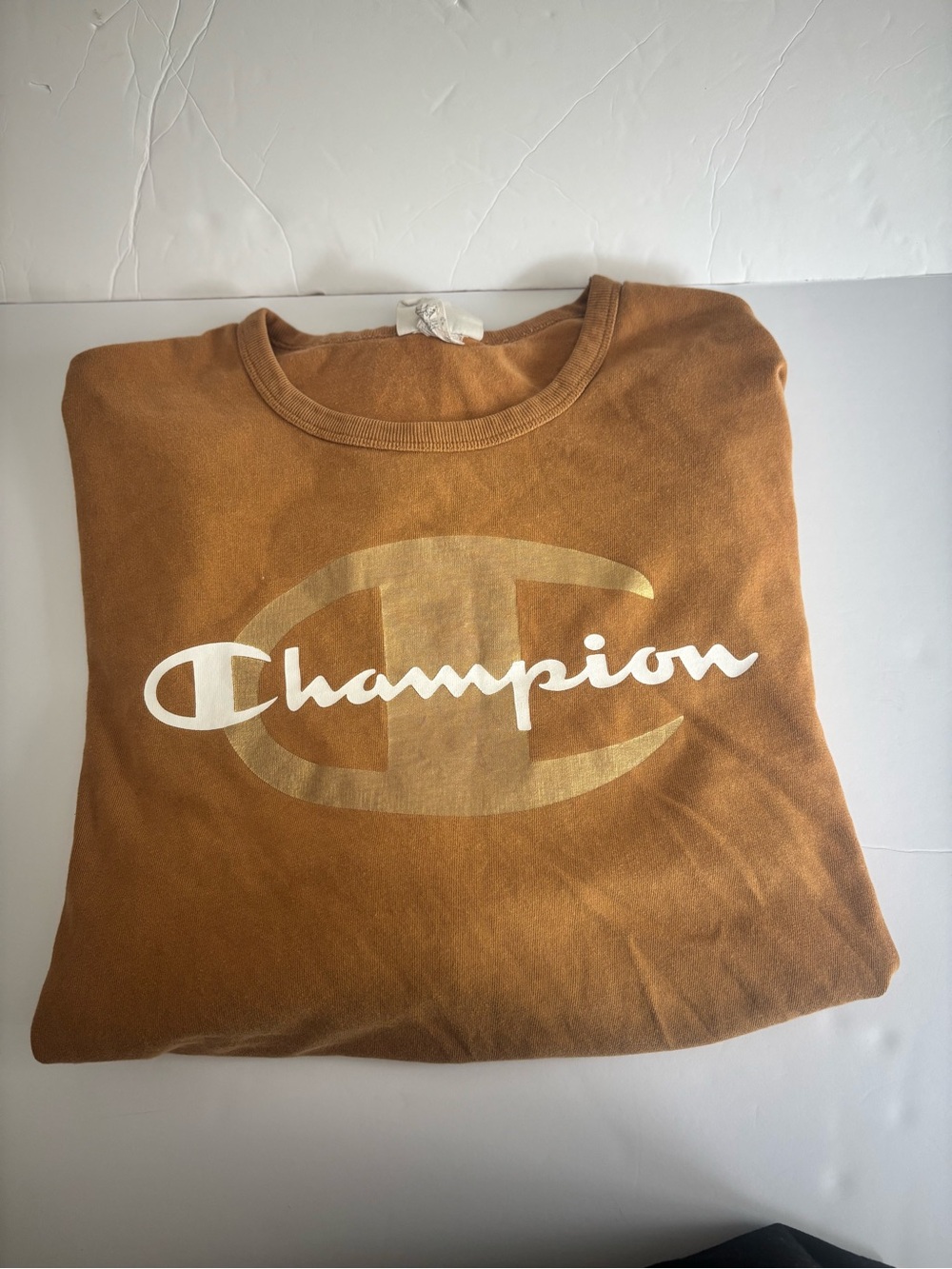 Heritage Champion Timberland Long Sleeve Tee in Rust Brown with White Logo